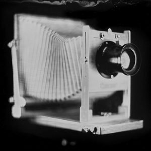 woody collodion